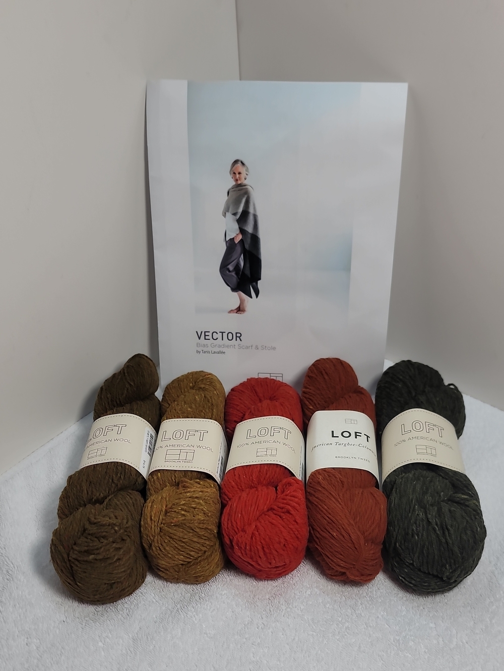 Vector Bias Gradient Scarf Knit Kit - NWT - #26